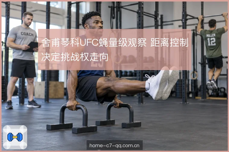 舍甫琴科UFC蝇量级观察 距离控制决定挑战权走向