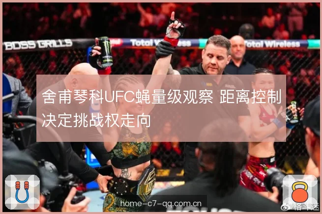 舍甫琴科UFC蝇量级观察 距离控制决定挑战权走向 舍甫琴科UFC蝇量级观察 距离控制决定挑战权走向
