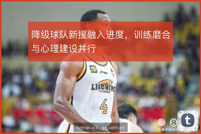 降级球队新援融入进度，训练磨合与心理建设并行